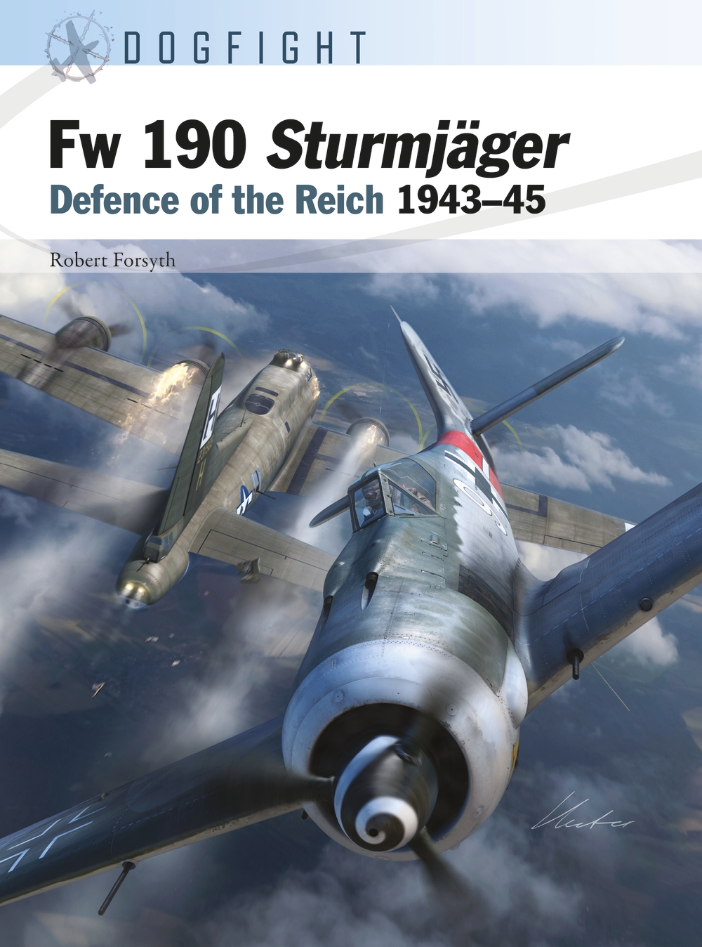 Fw 190 Sturmjäger book jacket