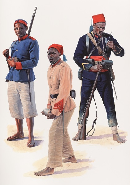 French Naval & Colonial Troops 1872–1914 artwork