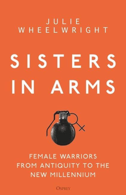 Sisters in arms cover