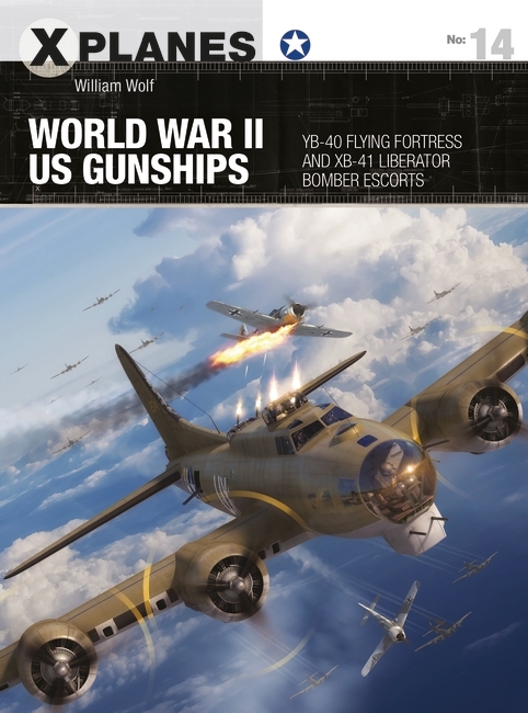 World War II US Gunships Cover