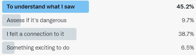Screenshot of a Twitter poll showing the winning option as "To understand what I saw"