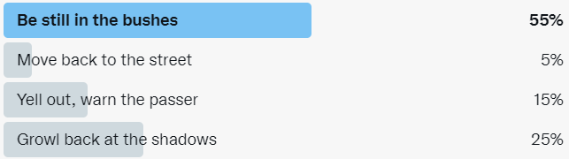 Screenshot of a Twitter poll showing the winning option as "Be still in the bushes"