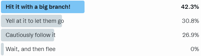 Screenshot of a Twitter poll showing the winning option as "Hit it with a big branch!"