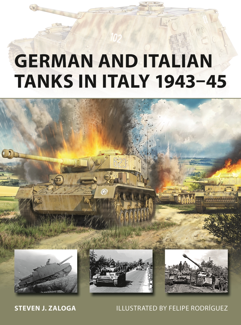 German and Italian Tanks in Italy 1943–45 book jacket